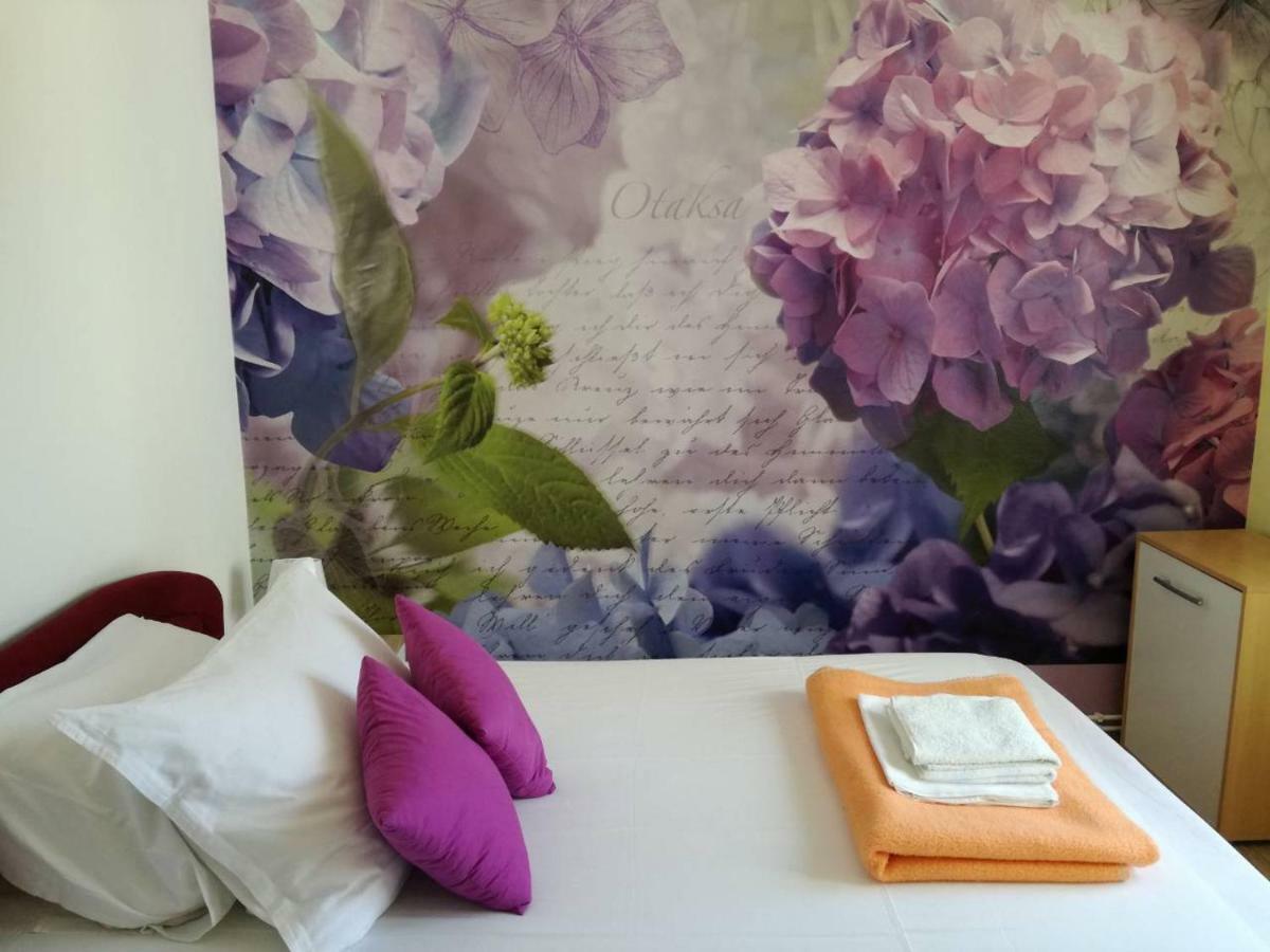 Apartment Yelena Rose West Zadar Exterior photo